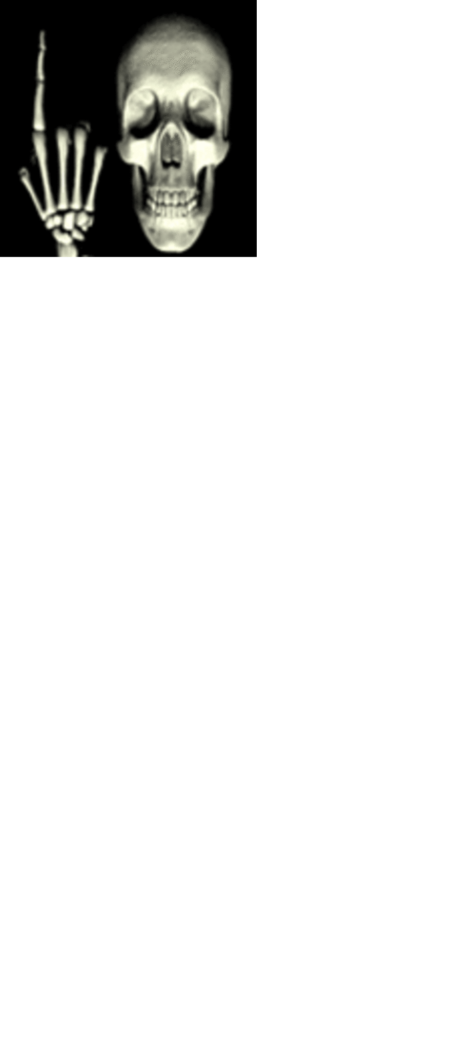 05.gif